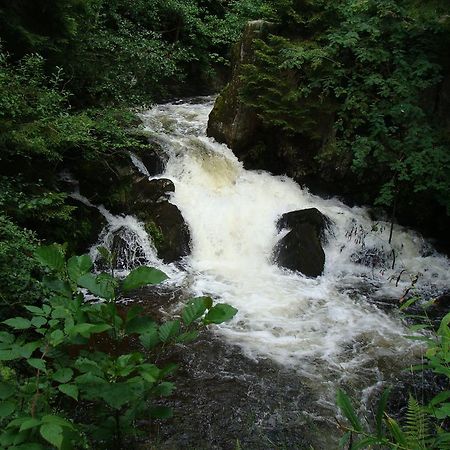 Les Brimbelles Lägenhet Gérardmer Exteriör bild