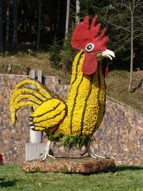 Les Brimbelles Lägenhet Gérardmer Exteriör bild